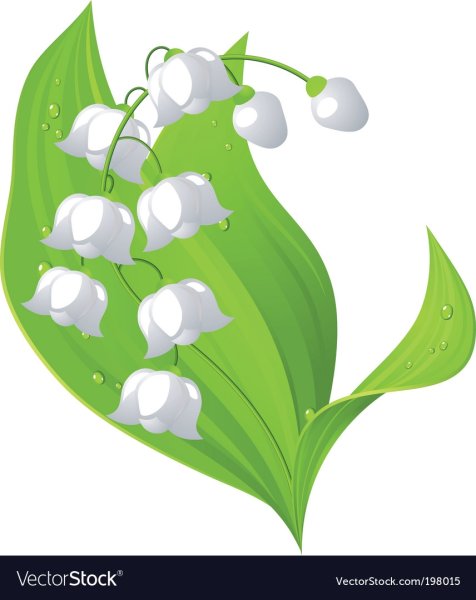 Ландыши мультяшные