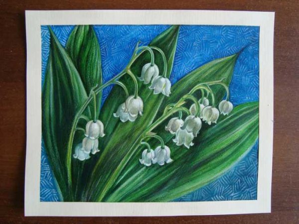 Рисование Ландыши