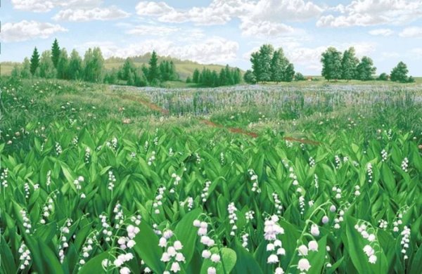 Весенние цветы на прозрачном фоне