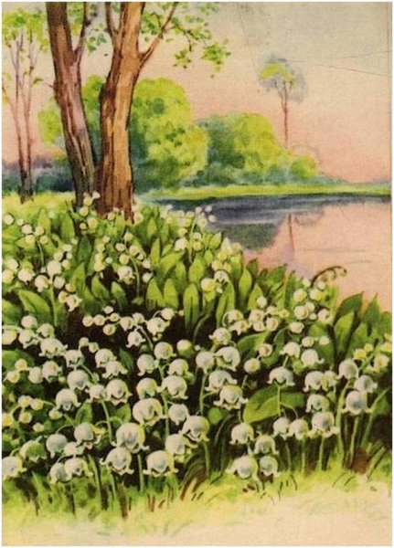 Весенние цветы на прозрачном фоне