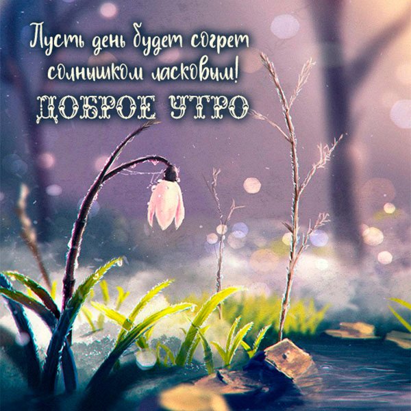 Доброе утро с птичками