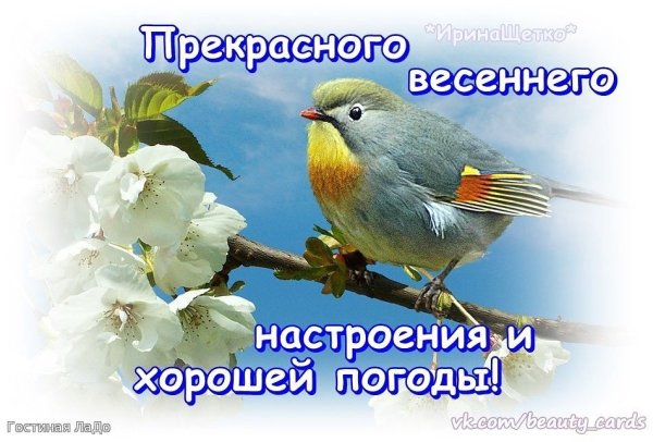 Доброго весеннего утра и хорошего настроения