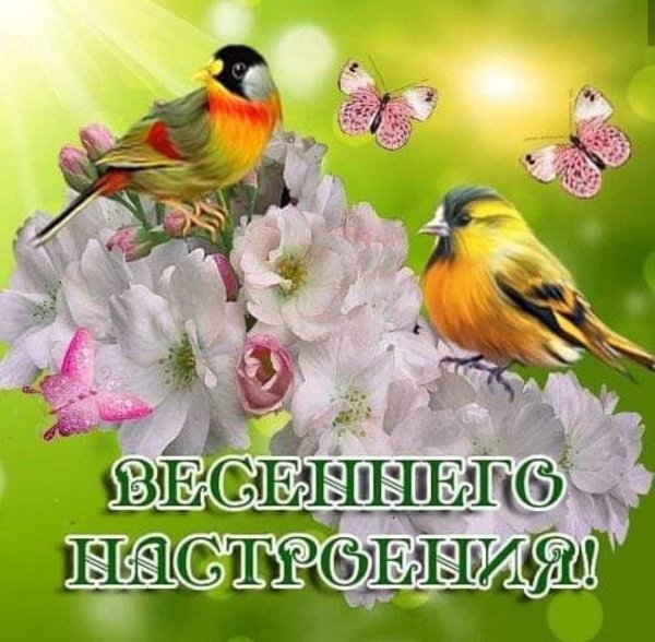 Открытки весеннего настроения