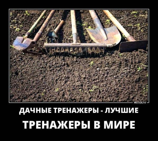 Девушка в огороде