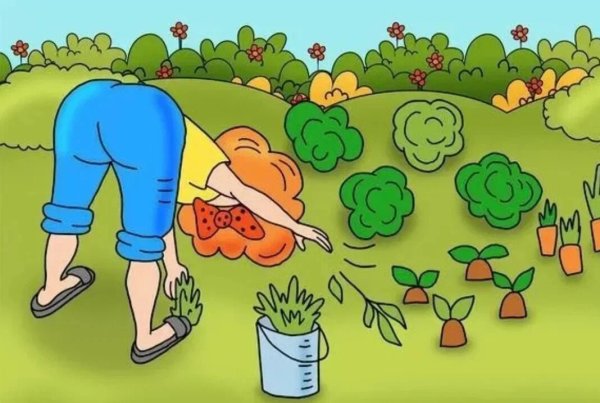 Дачник карикатура