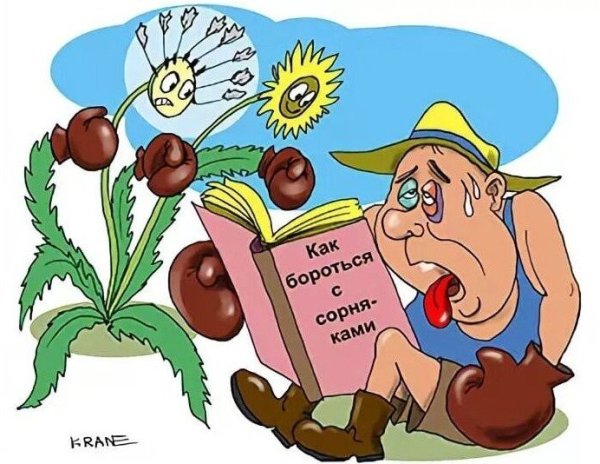 Приколы про дачу