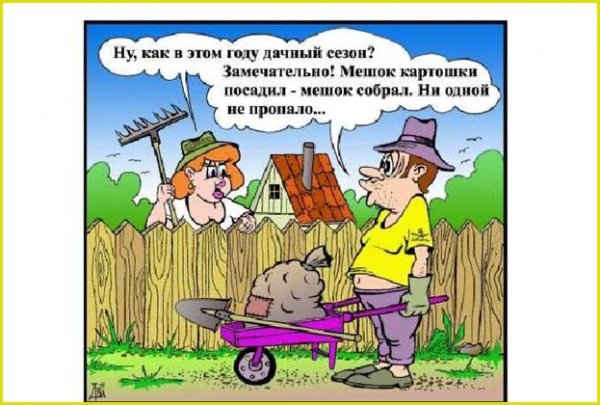 Смешное про огород