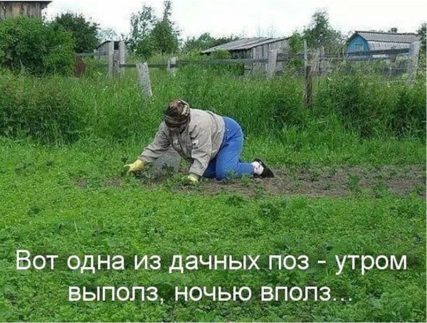 Поздравление с началом дачного сезона