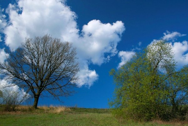 Весенний пейзаж с облаками