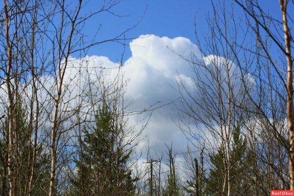 Кучевые облака Весна