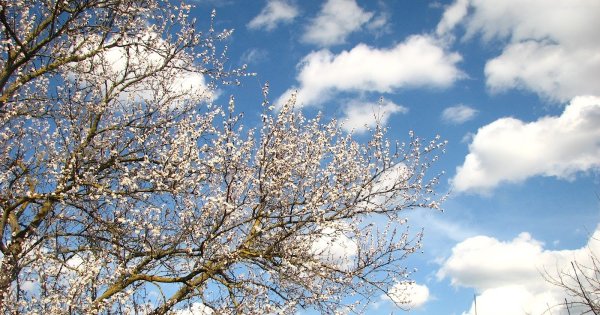 Небо весной