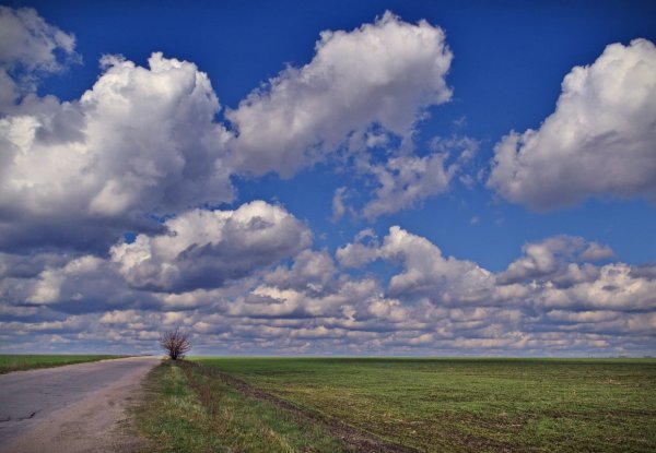 Дорога в облака