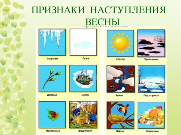 Приметы весны для дошкольников в картинках