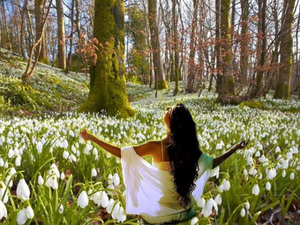 Красавица Весна