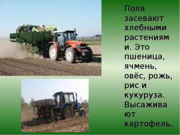 Сельскохозяйственные работы весной