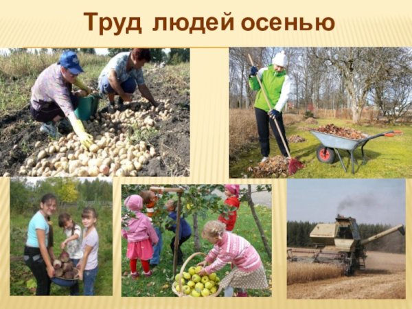 Сюжетные картины для детей