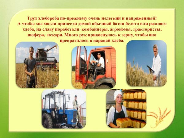 Раскраски сельскохозяйственный труд
