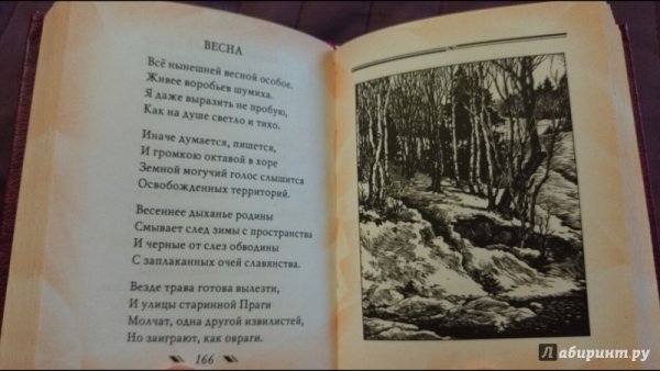 Грицай Алексей Михайлович подснежники