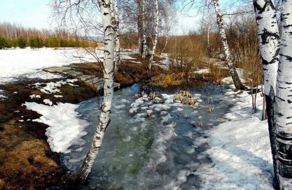 Заповедный край Александр Булаков