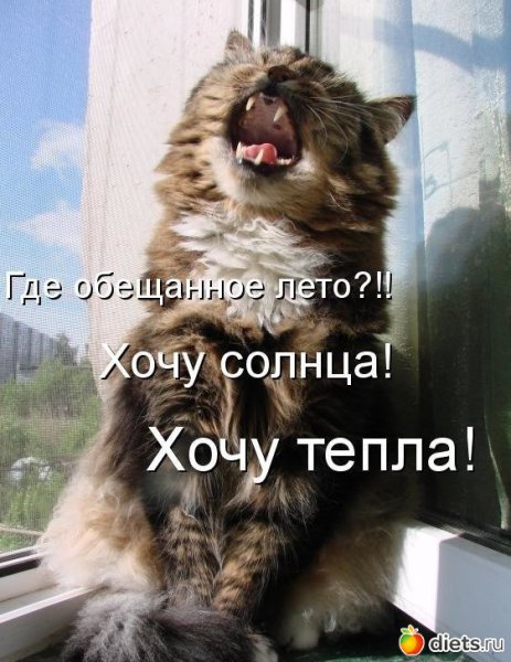 Весна уже в пути