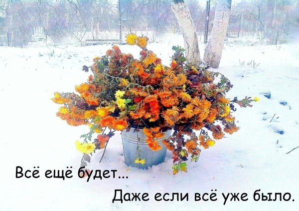 С первым днем зимы доброе утро