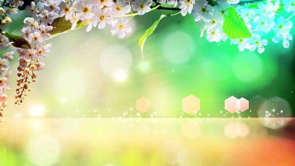 Праздничный фон с цветами