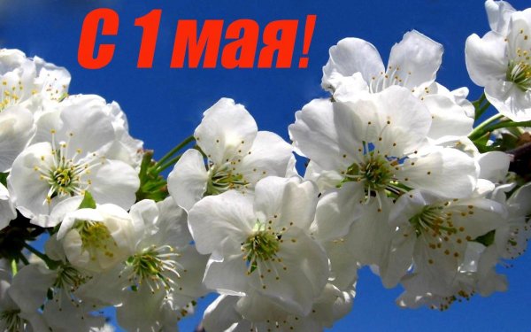 1 Мая праздник