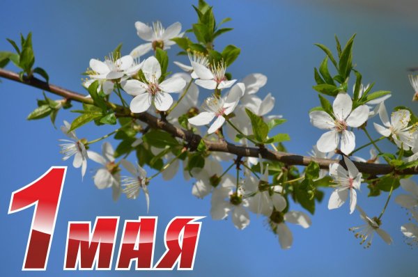 С 1 мая день весны и труда