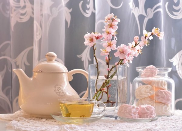 Весеннее утро стих