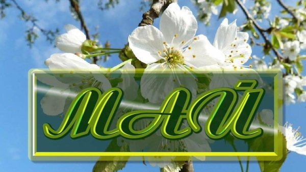 Май надпись