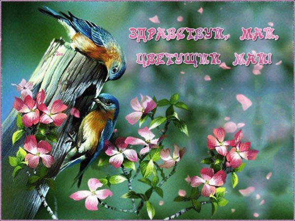 Открытки с 1 мая