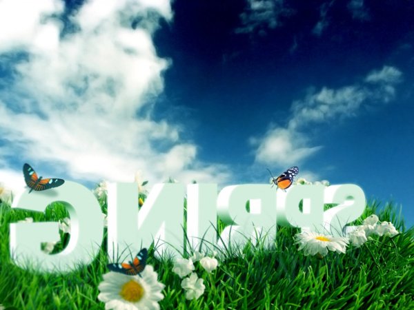 Май надпись красивая