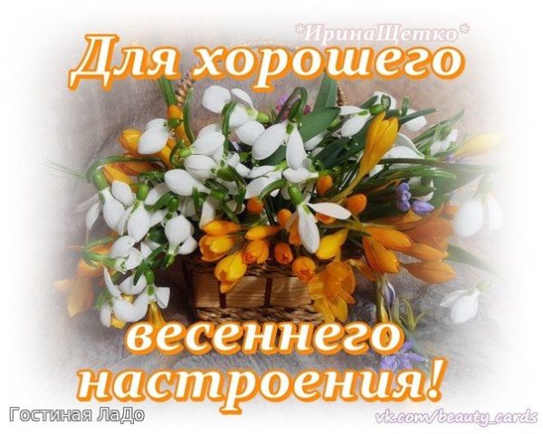 Хорошего весеннего настроения
