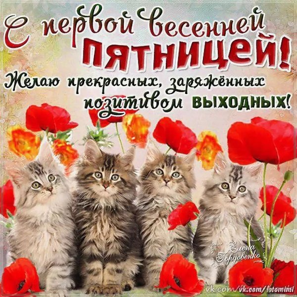 Чудесной пятницы и хорошего настроения