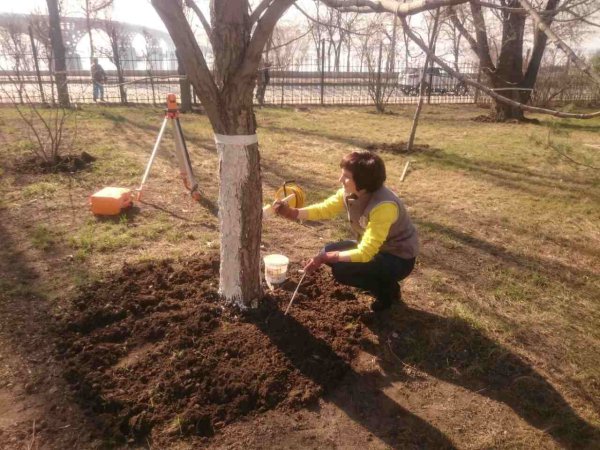 Весенние работы весной