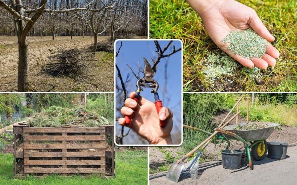 Весна в саду и огороде