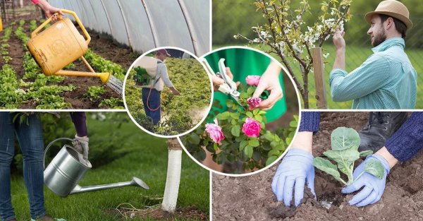 Весенние работы в огороде