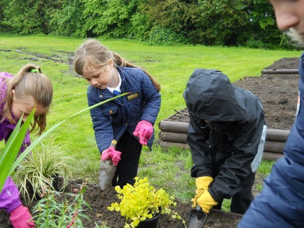 Весенние работы