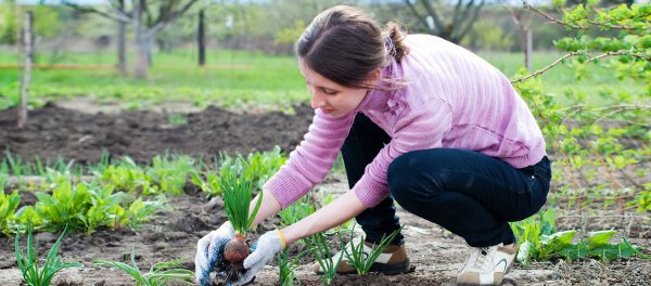 Забота о будущем урожае