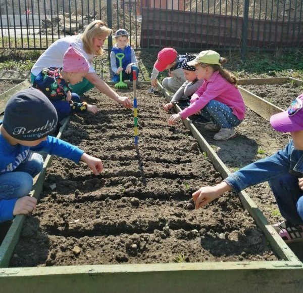 Работа в огороде