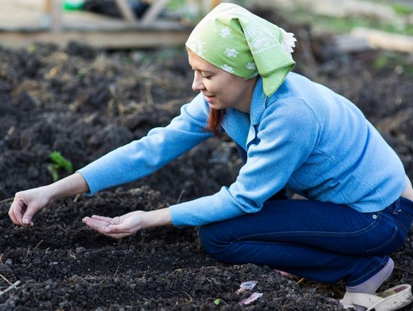 Огород весной