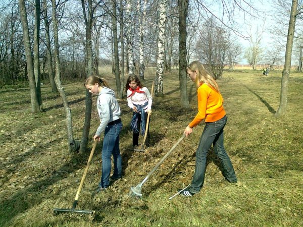 Огород весной