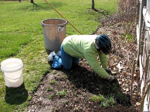 Уборка огорода весной
