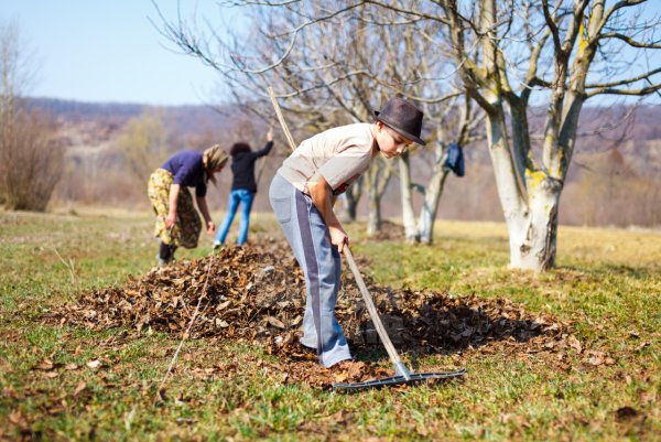 Труд в огороде весной