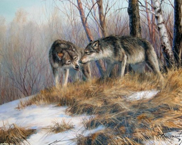 Художник Татьяна Данчурова картины