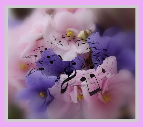 Скрипка с цветами