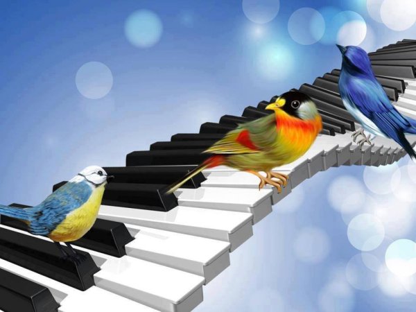 Яркий музыкальный фон