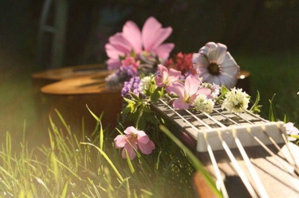 Весна на прозрачном фоне