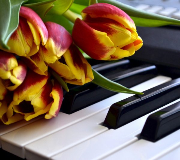 Музыкальная картина для детей