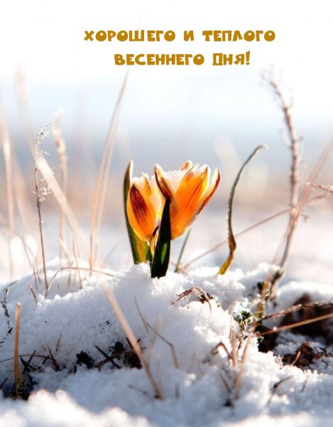 Весна проталины подснежники природа